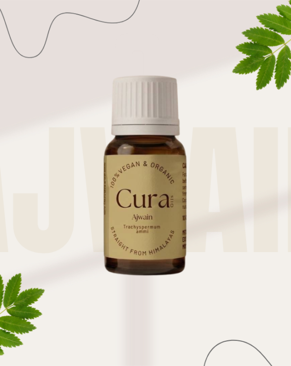 Ajwain essential oil packs strong effects though few outside India know of it. From carom plant seeds called Trachyspermum ammi comes this potent extract. Thymol makes up most of its makeup, just like what powers thyme oil. Because of that chemical match, it fights microbes and fungi well. Digestive troubles? That is where people have turned to it at home for years. Its roots lie deep in Ayurveda, yet today’s uses still hold solid ground.