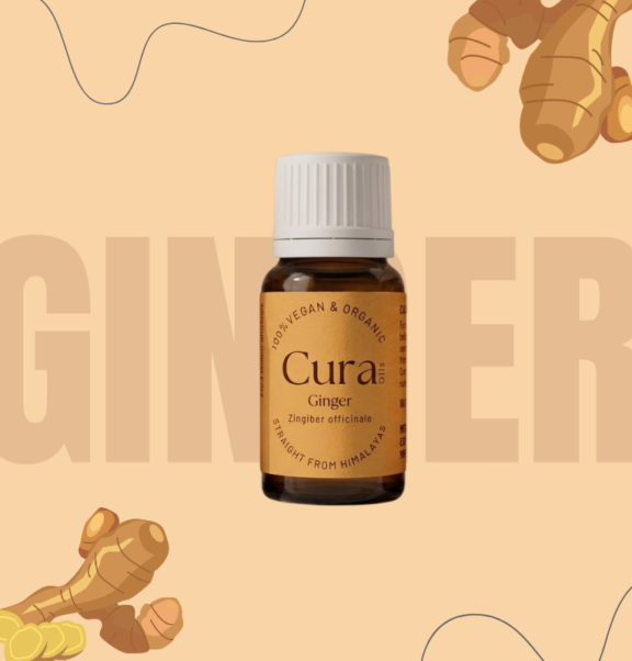 A tiny brown bottle holds everything - centuries of herbal wisdom packed into ginger essential oil. From the roots of Zingiber officinale comes a steam-distilled extract, rich with heat and bite like raw ginger itself. Warmth spreads through the body when used, stirring movement deep inside. Digestion wakes up; stiff joints loosen. Blood flows easier. Even the mood finds firmer ground after exposure to its sharp presence.