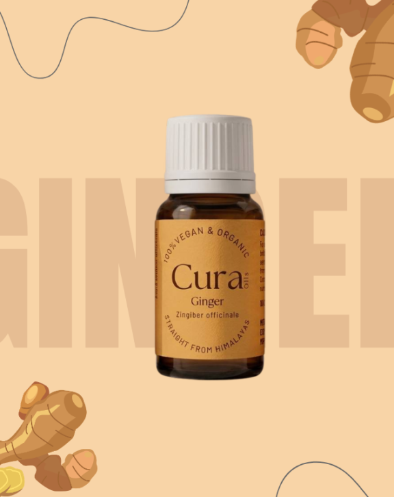 A tiny brown bottle holds everything - centuries of herbal wisdom packed into ginger essential oil. From the roots of Zingiber officinale comes a steam-distilled extract, rich with heat and bite like raw ginger itself. Warmth spreads through the body when used, stirring movement deep inside. Digestion wakes up; stiff joints loosen. Blood flows easier. Even the mood finds firmer ground after exposure to its sharp presence.