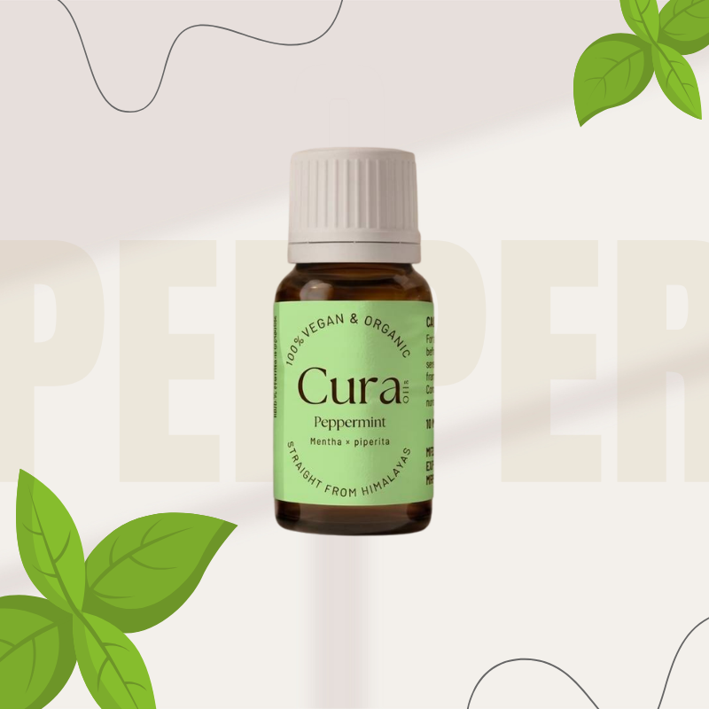 That sharp, clean scent? It often comes from peppermint oil. Grown around the globe, it's pulled straight from mint plant leaves through steam. A single drop brings a chill-like tingle - thanks to natural menthol - that wakes up tired skin or foggy thoughts. Head tension, upset stomachs, low drive by 3 PM - all meet their match here. Should someone pick just one bottle for daily use? Many keep coming back to this green-hued option without hesitation.