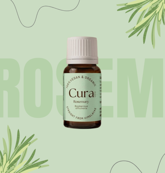 Fresh sprigs of rosemary tangled in student hair marked old Greek classrooms - thought to wake the mind when learning dragged on. Not far away, healers pressed the herb into remedies meant to quiet aches and keep blood moving smoothly through veins Out of steam rises the core scent from rosemary's bloom ends, leaving behind a fragrant oil still found now. Studies in recent times confirm some perks, which helps explain why it has lasted so long When thoughts need sharpening or strands grow weak, few options stand out so clearly. This one does.