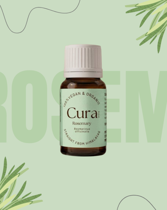 Fresh sprigs of rosemary tangled in student hair marked old Greek classrooms - thought to wake the mind when learning dragged on. Not far away, healers pressed the herb into remedies meant to quiet aches and keep blood moving smoothly through veins Out of steam rises the core scent from rosemary's bloom ends, leaving behind a fragrant oil still found now. Studies in recent times confirm some perks, which helps explain why it has lasted so long When thoughts need sharpening or strands grow weak, few options stand out so clearly. This one does.