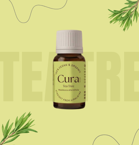 From the leaves of Melaleuca alternifolia, a plant found only in Australia, comes an oil known for its healing traits. Though small in size, this substance holds power that science keeps revisiting. More than a hundred research efforts have looked into how it fights microbes, fungi, viruses, and swelling inside the body. Because of these tested abilities, few bottles offer such broad usefulness. Its reputation grows not from talk but from repeated lab results.