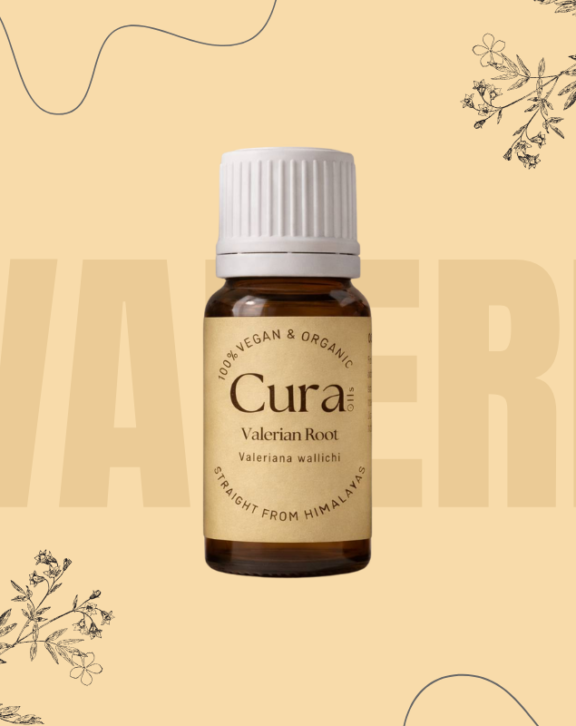 Deep in the mountains grows a plant whose root makes an intense calming oil. From Valeriana wallichi it comes, thriving high where air thins and soil stays wild. Its steam becomes liquid calm, dark and heavy in scent. This one touches parts of the mind that help you slow down, then drop into rest without effort. Some experts who work with sleep turn to it when nothing else resets the body clock. Others rooted in traditional healing reach for its steady hand when nerves spin too fast. The strength lies in what the earth gives it - valerenic acid, packed tight inside.