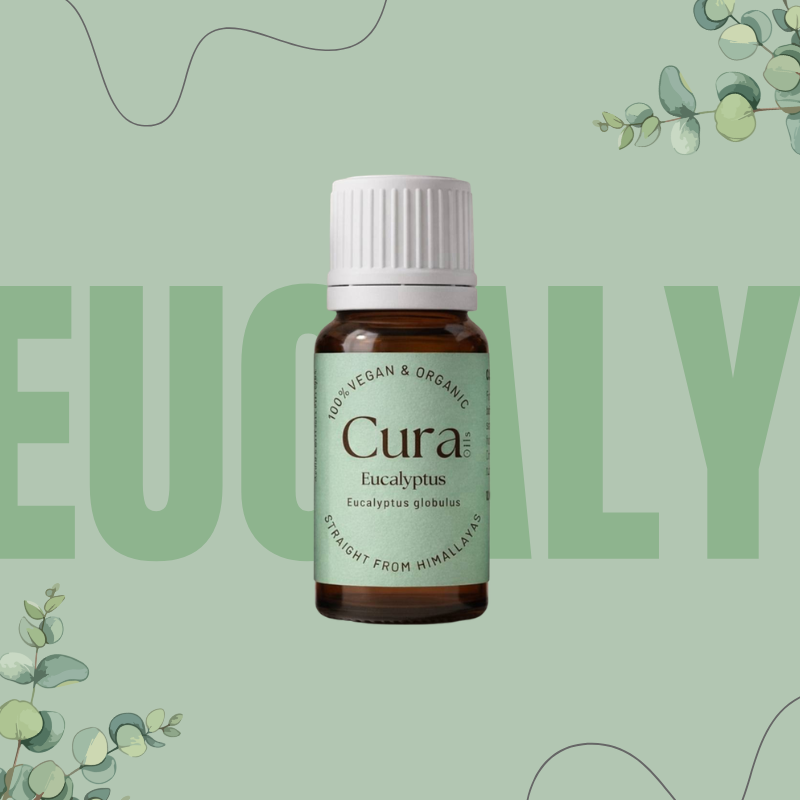 Eucalyptus Essential Oil