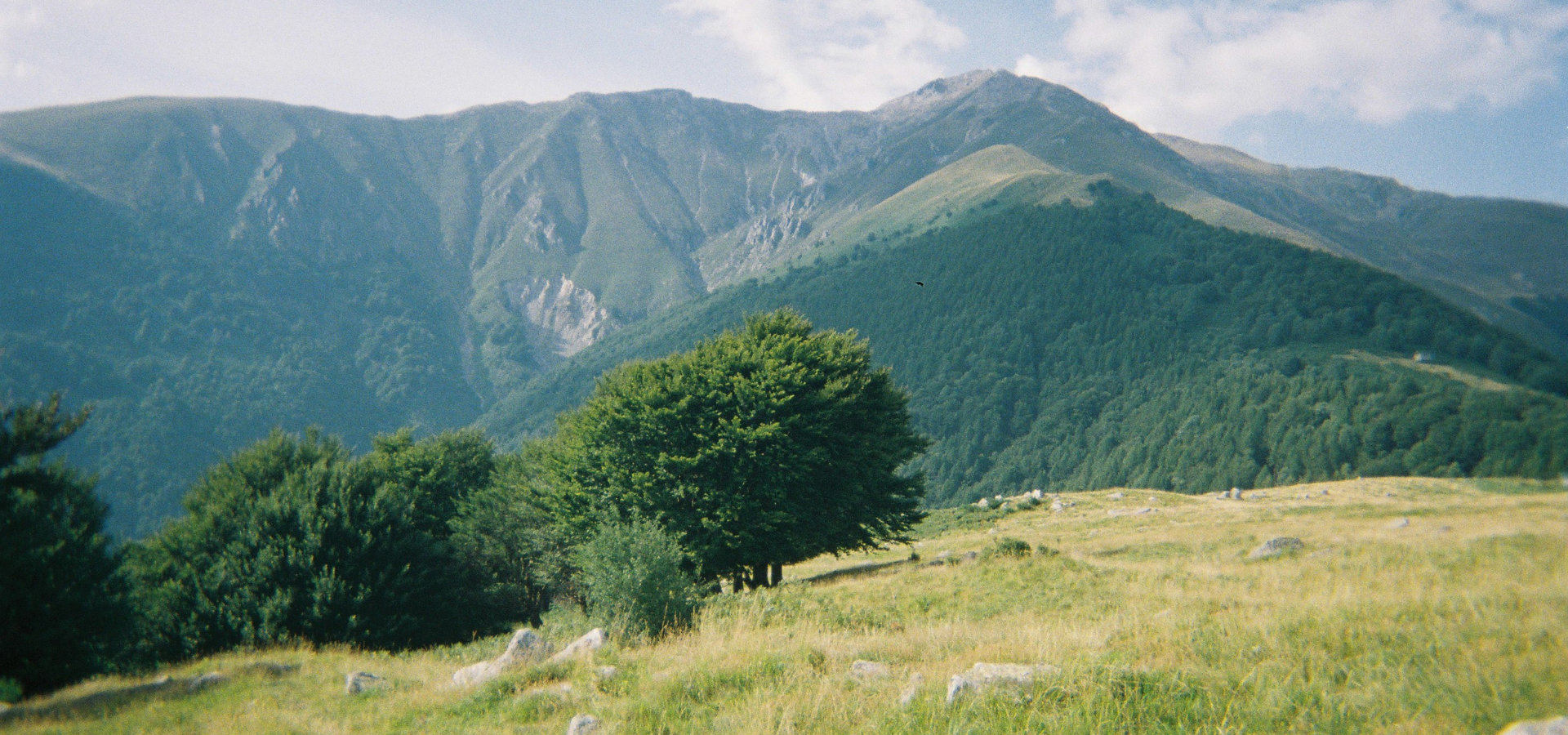 LowerBanner2