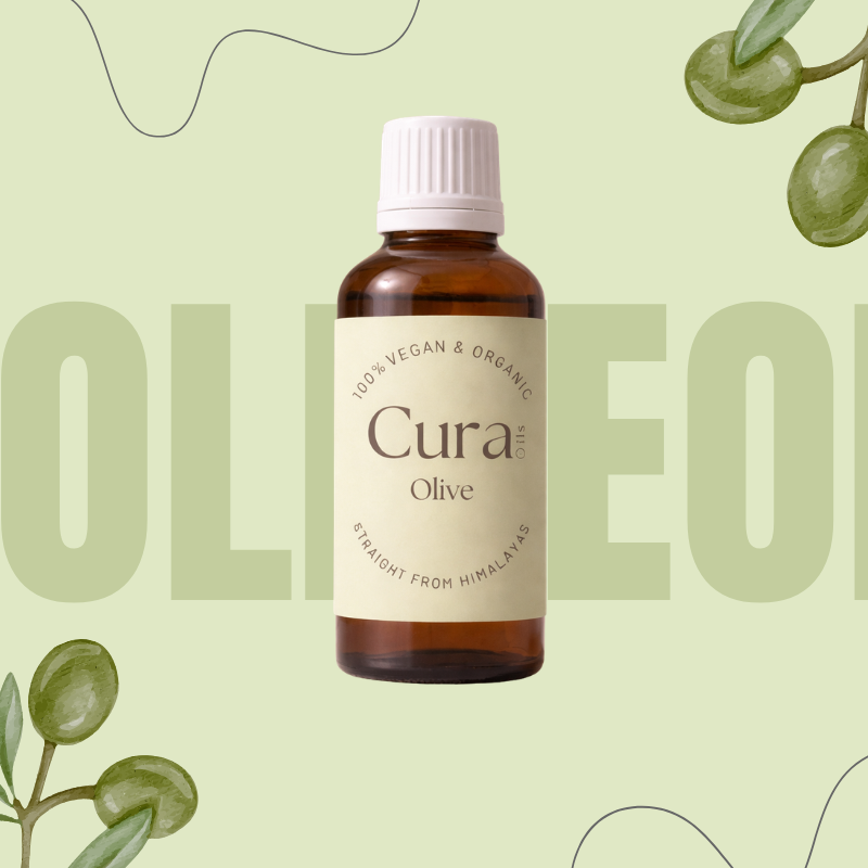 Olive Oil