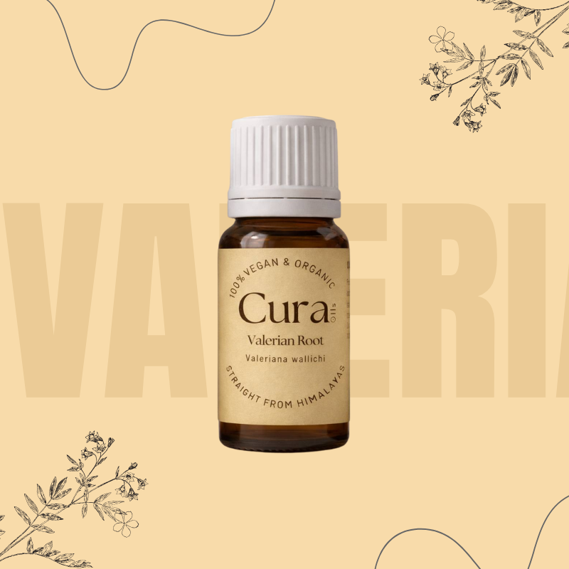 Valerian Root Essential Oil